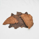 عود فيتنامي